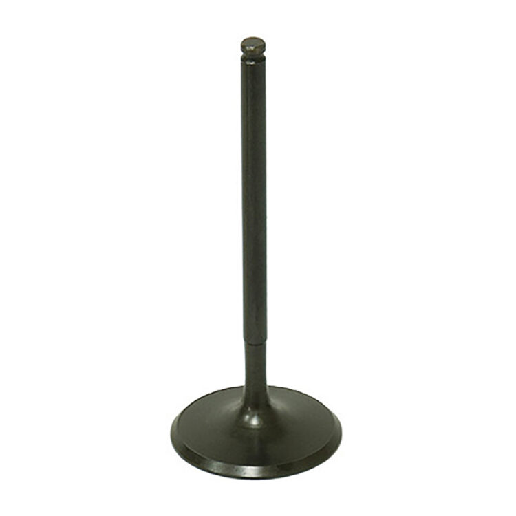 INTAKE VALVE Polaris RZR 570 EPS RZR 900 RZR 900 EPS RZR XP 1000 EPS ACE 570 ACE 570 Sp Sportsman 570 SP Sportsman X2 570 EPS Sportsman Touring 570 EPS Sportsman Touring 570 SP RZR XP Turbo EPS RZR 1000 S EPS RZR XP 4 Turbo EPS General 1000 EPS General 1000 Premium EPS General 1000 Deluxe EPS Sportsman 6X6 570 EPS RZR XP 900 RZR 570 RZR XP 900 EFI RZR XP 900 EPS RZR XP 4 900 RZR XP 4 900 EPS Sportsman 570 Sportsman 570 EPS Sportsman Touring 570 RZR XP 4 1000 EPS General 4 1000 EPS General 1000 Ride Command Edition EPS General 1000 LE EPS Sportsman 570 HD RZR XP Turbo LE EPS RZR XP Turbo S RZR XP 4 Turbo LE RZR Pro XP RZR XP Turbo RZR XP 4 Turbo 2011-2020