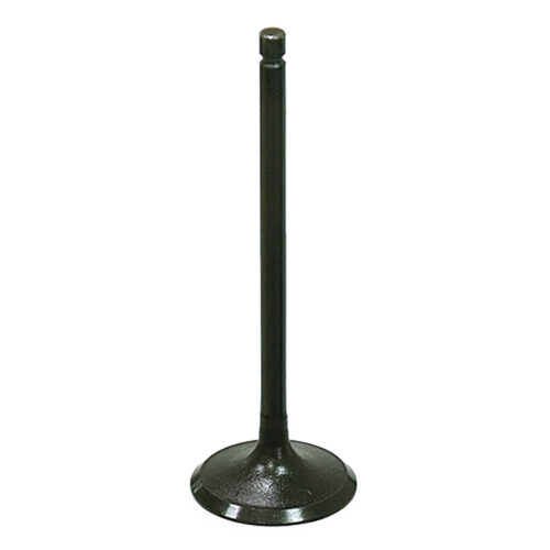 INTAKE VALVE