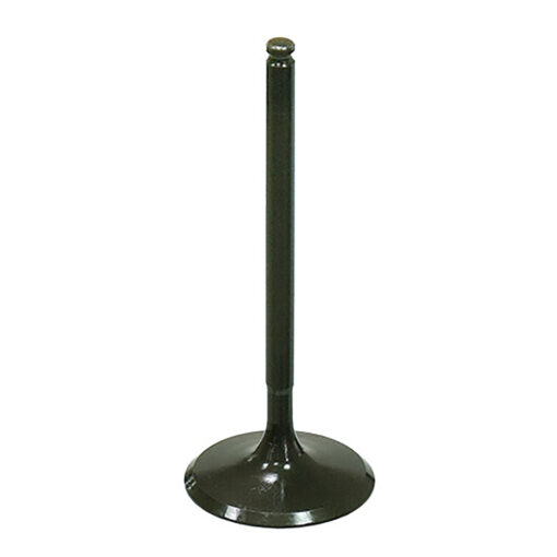 INTAKE VALVE