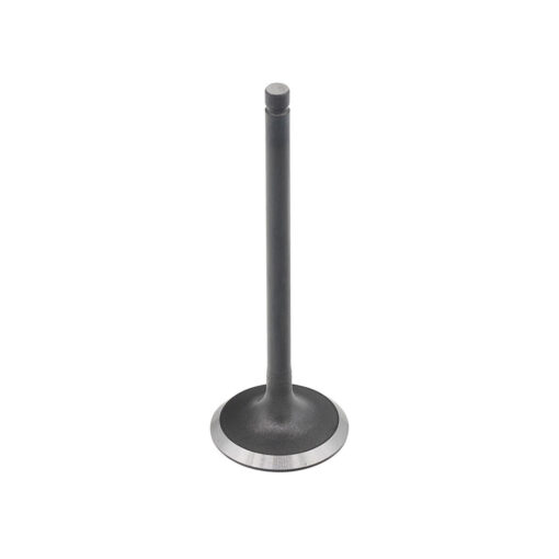 INTAKE VALVE CAN
