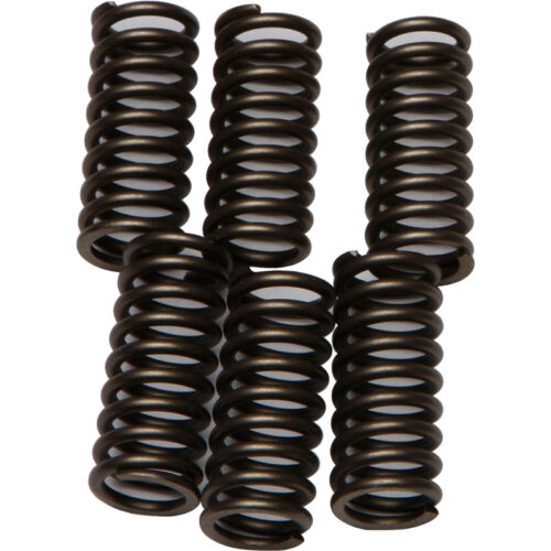 CLUTCH SPRINGS CSK102 Yamaha YZF600R 1995-2007 read more...