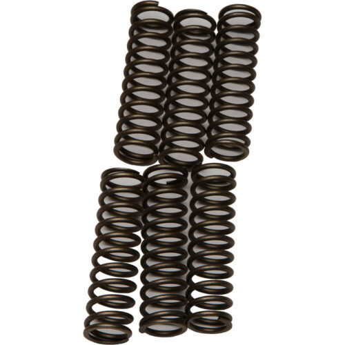 CLUTCH SPRINGS CSK109 Suzuki GSX-S750 2015-2015 Suzuki GSX-S750Z 2015-2015 Kawasaki ZX1200 Ninja ZX-12R 2000-2005 read more...