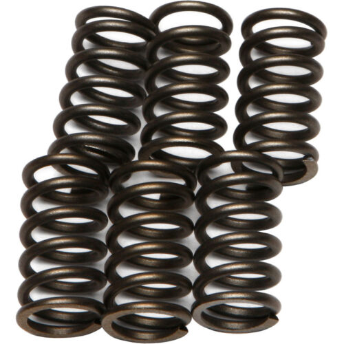 CLUTCH SPRINGS CSK10 Kawasaki EX650 Ninja 650 2012-2016 Honda CX650T Turbo 1983-1983 Honda GL1100 Gold Wing 1980-1983 Honda GL1100A Gold Wing Aspencade 1982-1983 Honda GL1100I Gold Wing Interstate 1980-1983 Honda CBX 1980-1982 Honda CX500TC read more...