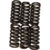 CLUTCH SPRINGS CSK11 Honda CMX250 Rebel 250 1985-2014 Honda CM250C Custom 1982-1983 KTM 620 RXC 1995-1995 KTM 125 Exc 1994-1997 KTM 125 SX 1994-1997 read more...