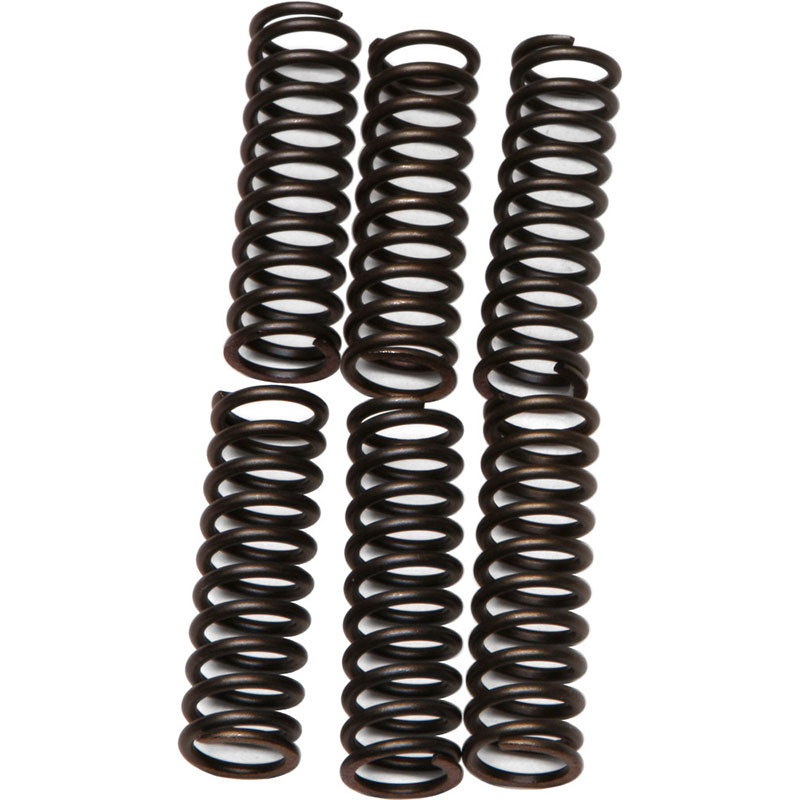 CLUTCH SPRINGS CSK17 Yamaha FZS600 FZ6R 2009-2014 Yamaha YZF-R6 1999-2002 Yamaha FZS600 FZ6 2004-2008 Yamaha YZF750R 1994-1996 Yamaha FZR1000 1987-1988 Yamaha TDM850 1992-1993 Yamaha FZ750 1985-1988 Yamaha FZR750R 1987-1988 Yamaha FZ700 Gen read more...