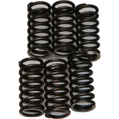 CLUTCH SPRINGS CSK200 Aprilia RSV1000R 2005-2008 Aprilia RSV1000R Factory 2004-2008 read more...