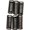 CLUTCH SPRINGS CSK32 Honda TRX250R 1986-1987 Honda ATC250R 1986-1986 Honda CRF450R 2002-2008 Suzuki RM250 1991-1996 Suzuki RM125 1992-1992 Suzuki RMX250 1992-1998 read more...