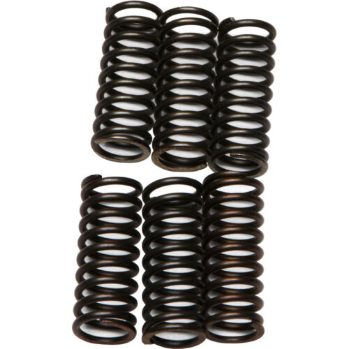 CLUTCH SPRINGS CSK32 Honda TRX250R 1986-1987 Honda ATC250R 1986-1986 Honda CRF450R 2002-2008 Suzuki RM250 1991-1996 Suzuki RM125 1992-1992 Suzuki RMX250 1992-1998 read more...