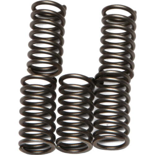 CLUTCH SPRINGS CSK56 Kawasaki ZX600 Ninja ZX-6R 1995-2002 Kawasaki ZX600 ZZ-R 600 2005-2007 Kawasaki ZX636 Ninja ZX-6R 2003-2004 read more...
