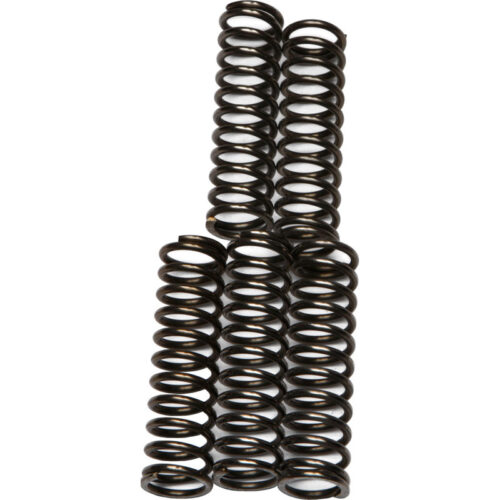 CLUTCH SPRINGS CSK67 Kawasaki Z1000 2006-2006 Kawasaki ZX1200 Ninja ZX-12R 2000-2005 Kawasaki ZX900 Ninja ZX-9R 1998-2003 read more...