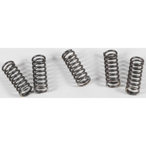 CLUTCH SPRINGS CSK70 Honda CBR1100XX Super Blackbird 1997-1998 read more...