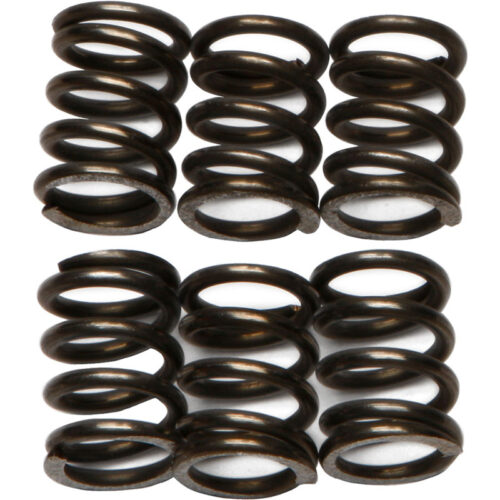 CLUTCH SPRINGS CSK72 Suzuki GSX-R1300 Hayabusa 1999-2007 read more...