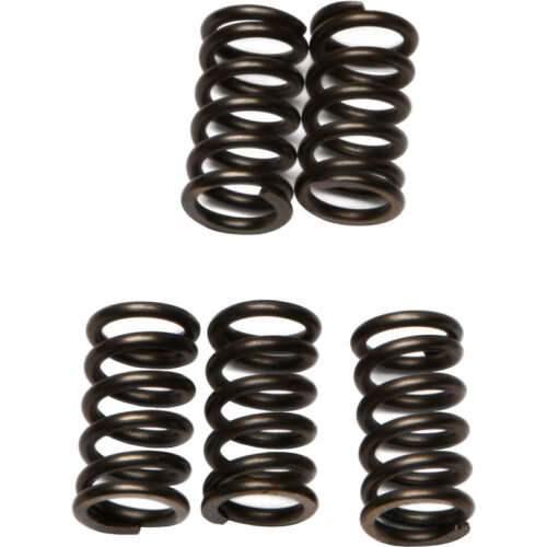 CLUTCH SPRINGS CSK78 Suzuki TL1000S 1997-1998 read more...