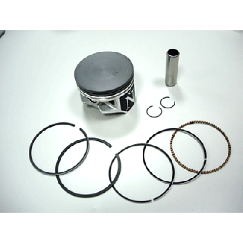 PISTON KIT 73.95/STD Honda TRX300 Fourtrax TRX300FW Fourtrax 4X4 1988-2000