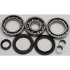 REAR DIFFERENTIAL BEARING AND SEAL KIT Polaris Sportsman 700 4x4 Sportsman 600 4x4 Magnum 500 4X4 Magnum 500 2X4 Xpedition 325 Xpedition 425 Magnum 325 2X4 Magnum 325 4X4 ATV PRO 500 1999-2004