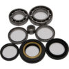 REAR DIFFERENTIAL BEARING AND SEAL KIT Honda TRX420FE Rancher ES [SRA] TRX420FM Rancher [SRA] TRX420FPE Rancher ES w/PS [SRA] TRX420FPM Rancher w/PS [SRA] TRX420TE Rancher ES [SRA] TRX420TM Rancher [SRA] TRX420TE Rancher 2X4 ES [SRA] 2007-2013
