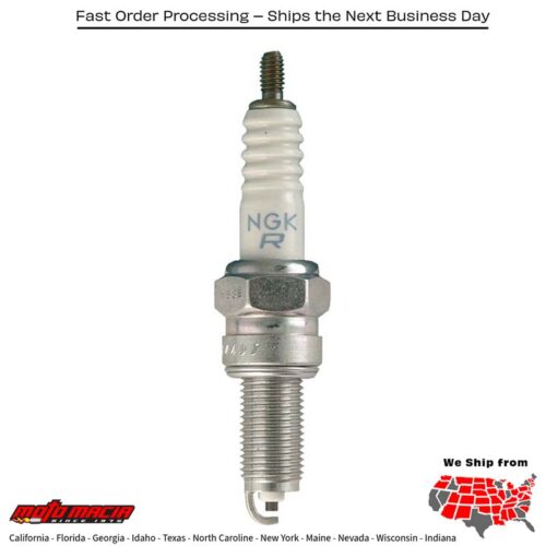 SPARK PLUG #3901/04