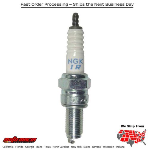 SPARK PLUG #6289/04