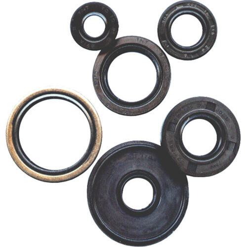 OIL SEAL SET Arctic Cat 500 4X4 Auto 2000-2009 Arctic Cat 500 4X4 Auto FIS 2002-2008 Suzuki Lt-A500F Vinson 500 4X4 Auto [SRA] 2002-2007 Suzuki LT-A500F QuadMaster [SRA] 2000-2001