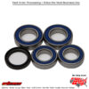 All Balls  WHEEL BEARING & SEAL KIT Arctic Cat Crossfire 5 136" 2007-2007 Victory Vision Tour 2011-2011 Ducati Monster 750 2002-2002 Ducati Monster 750 Dark 2002-2002 Ducati Monster 900 2002-2002 Ducati Monster 900 Dark 2002-2002 Ducati Mon