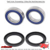 All Balls  REAR WHEEL BEARING KIT Honda Fl400R Pilot 1989-1990
