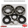 All Balls  FRONT DIFFERENTIAL BEARING AND SEAL KIT Polaris Sportsman 500 Rse 4x4 2000-2000 Polaris Worker 335 1999-1999 Polaris Scrambler 500 4X4 1999-2009 Polaris Sportsman 500 HO 2X4 2001-2004 Polaris Sportsman 6X6 500 2000-2008 Polaris D