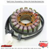 Stator Honda Cbr1100xx Super Blackbird 99-03