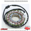 Stator Honda Vt750cd Shadow A.c.e. Deluxe 98-03 Vt750dc Spirit