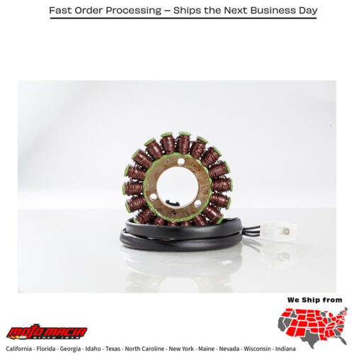 Stator Suzuki Gs500f 04-09