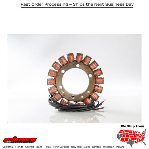 Stator Suzuki Dl1000 V-Strom 02-02