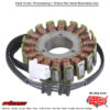 Stator Yamaha Fzr600r 89-99