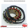 Stator Yamaha Yzf600r 97-07