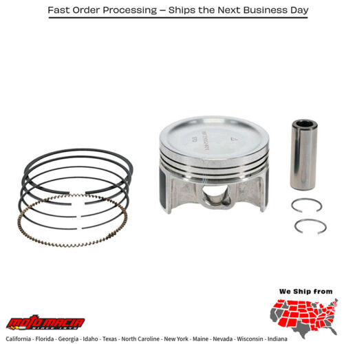 Cast Replica Piston Kit 73.95/Std 9.1:1 Can PISTON KIT RACE EVOLUTION