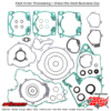 Complete Gasket Set With Oil Seals Ktm 300 Sx 94-94 Exc 94-03