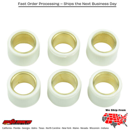 Clutch Roller Kit 6 Roller 17x12.5 5.5 Gr