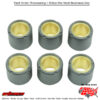 Clutch Roller Kit 6 Roller 20x17 13.5 Gr