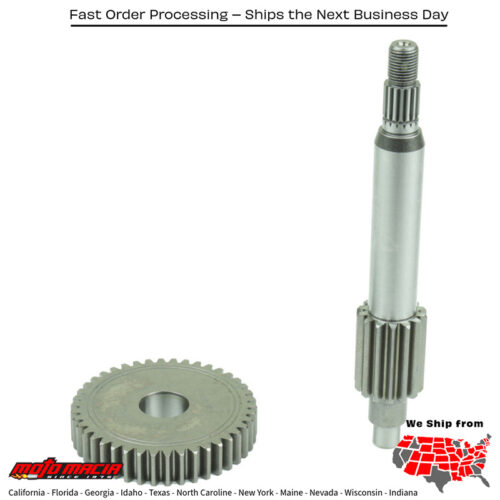 Primary Gear 14/42 Yamaha Cw50 Zuma II 1998-2001