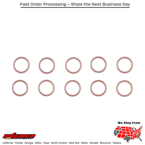 Cam Plate To Oil Pump O-Ring M8 10pk Oem# 11900103 Harley Davidson Flrt Fre