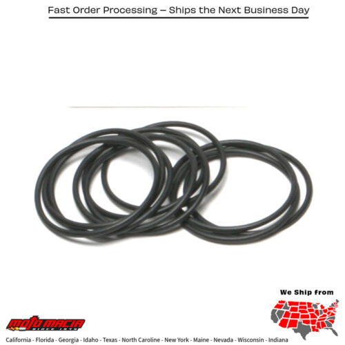 Spacer Block Mounting O-Ring Evo/Twin Cam 10/Pk Oe#11107