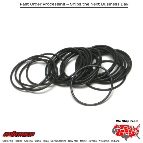 Main Drive Gear Oil Seal Evo 25/Pk Oe#11166