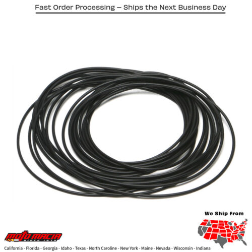 Inner Chain Cover O-Ring Evo 10/Pk Oe#11125