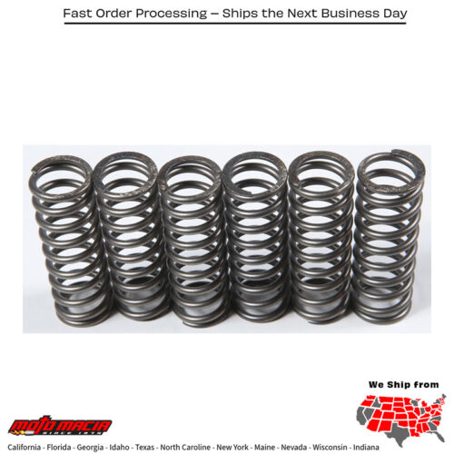 Clutch Springs Csk119 Yamaha Fj-09 2015-2016 Fz-09 2014-2014