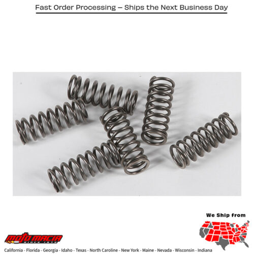Clutch Springs Csk122 Suzuki Vzr1800b M109r Boulevard B.o.s.s. 2014-2015 Su