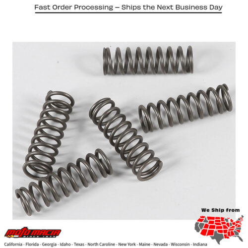 Clutch Springs Csk124 Kawasaki Ninja Zx-10r 2009-2010 Zx1400 Ninja