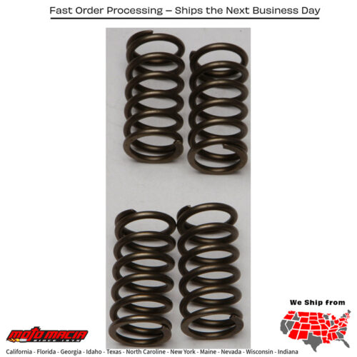 Clutch Springs Csk142 Kawasaki Klx140 2008-2018 Klx140l 2008-2018