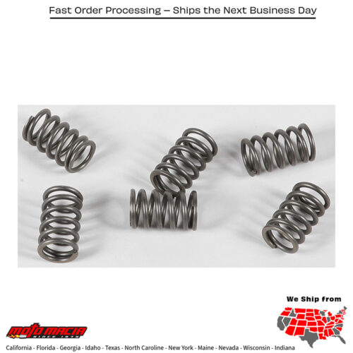 Clutch Springs Csk161 Ktm 1190 Rc8 R 2010-2012 Race 2012-201