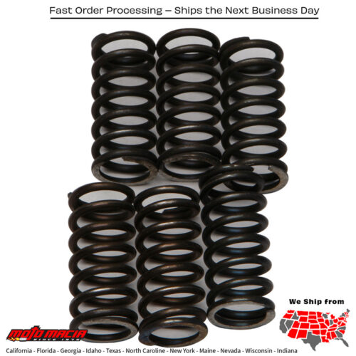 Clutch Springs Csk200 Aprilia Rsv1000r 2005-2008 Factory