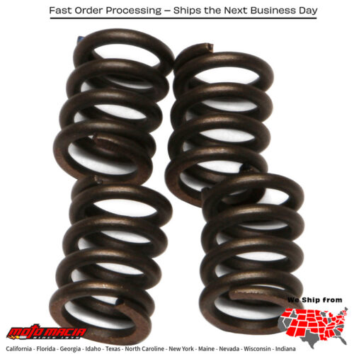 Clutch Springs Csk22 Honda Xl80s 1980-1985 Xr100 1981-1984 Xr80