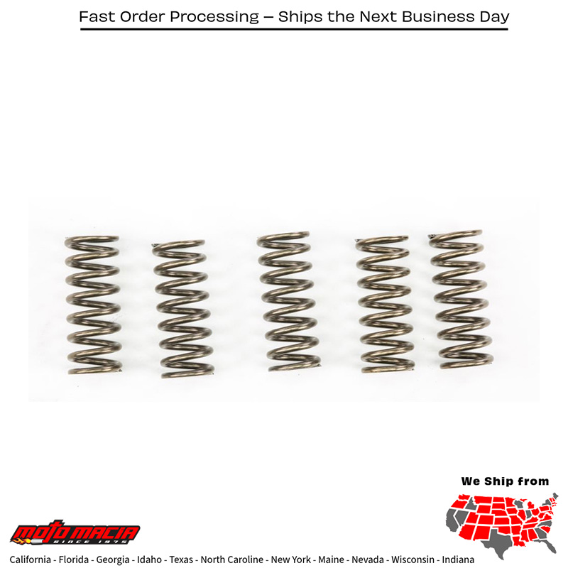 Clutch Springs Csk249 BMW G310GS 2018-2019 G310R 2018-2019