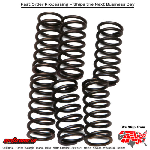 Clutch Springs Csk38 Kawasaki Zx600 Ninja Zx-6r 2007-2008 Zrx1200